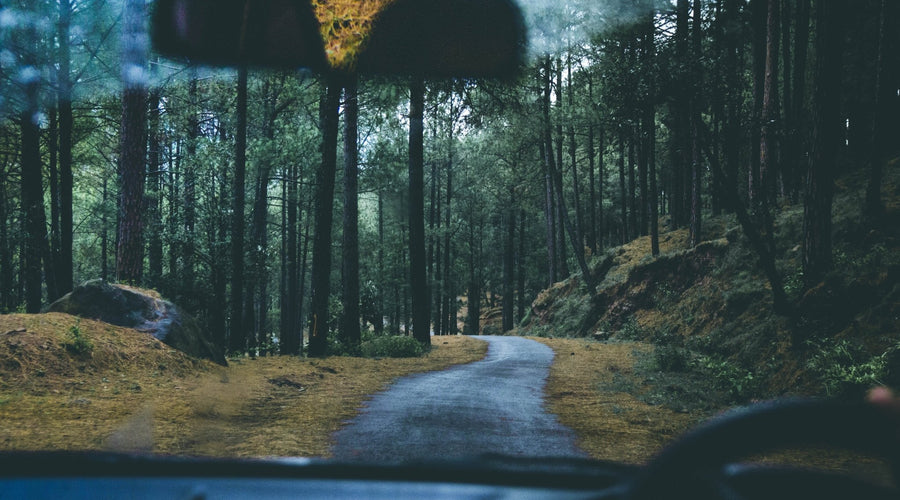Overcoming the Trap of Rear-View Mirrors